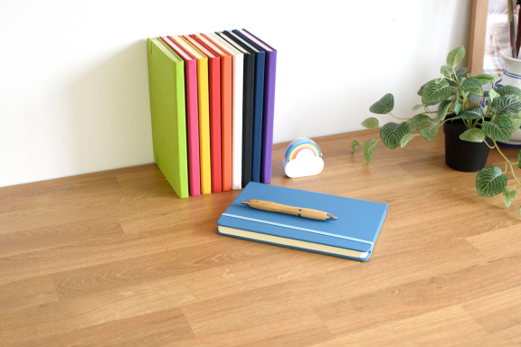 notebook, plant, colourful, desk, office, corporate
