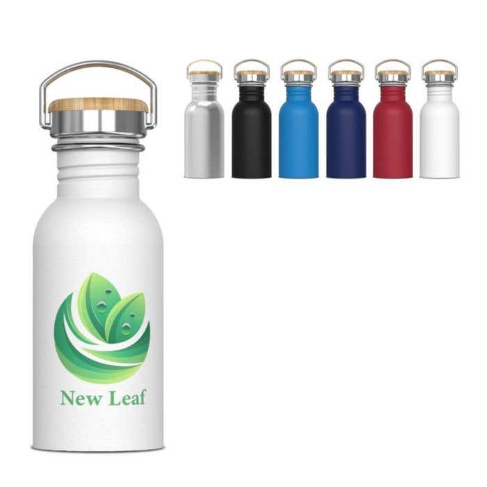 Gourde Ashton 500 ml