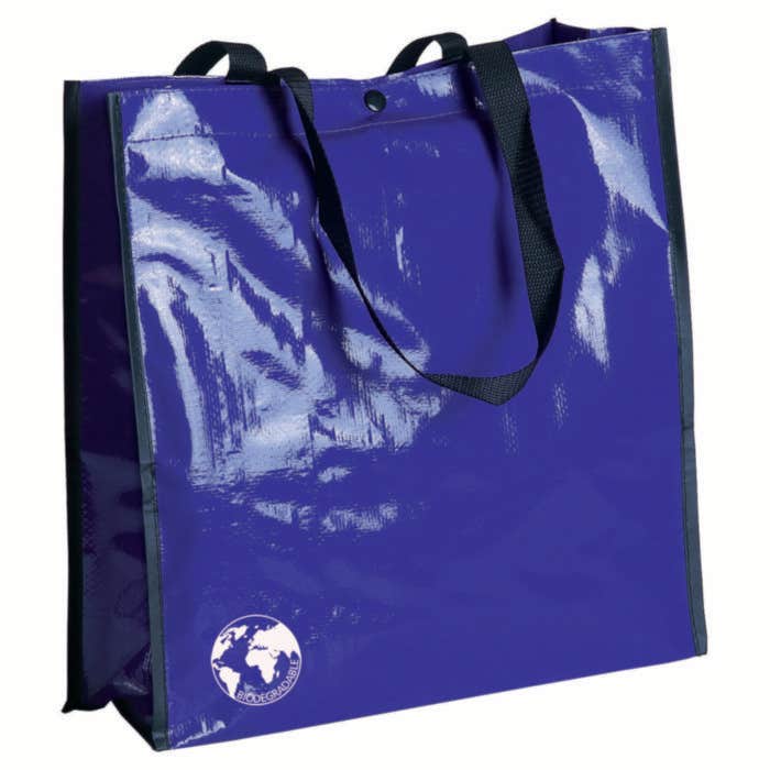 Sac shopping Recycle