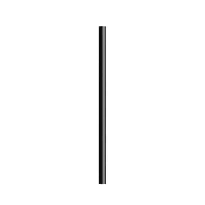 Crayon BIC Evo Ecolutions