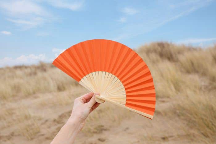 Éventail Thijs | Bambou | Coloré