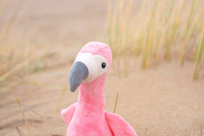 Peluche Flamingo Alicia