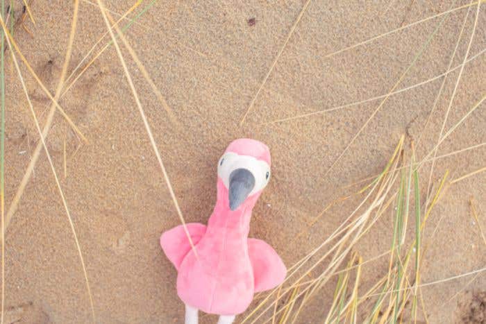 Peluche Flamingo Alicia