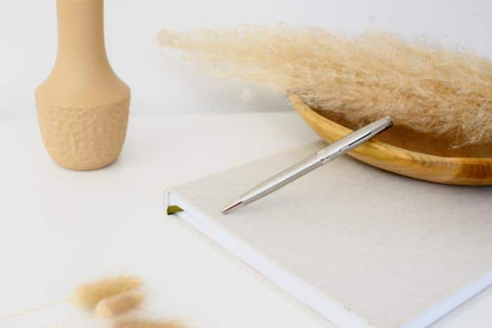 Roller Parker Sonnet CT Stainless Steel