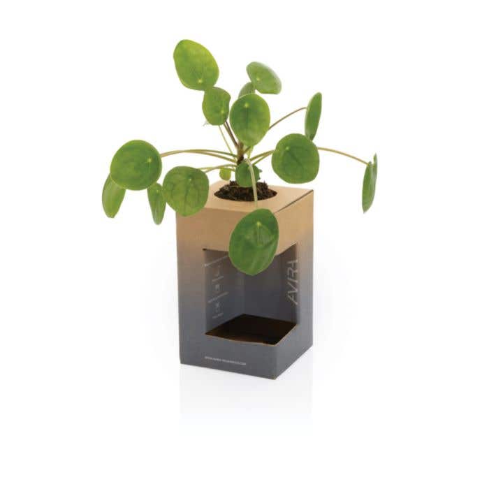 Gobelet Thermique Avira Alya Re-Steel 300 ml