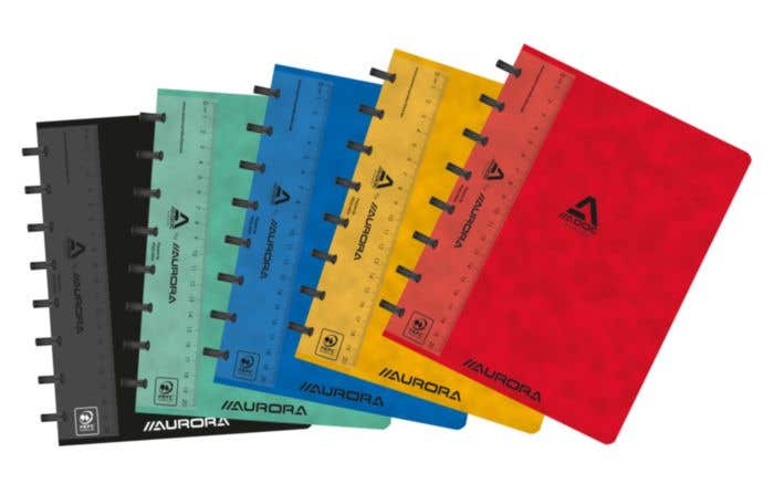 Carnet ADOC Rings Superglacé A5