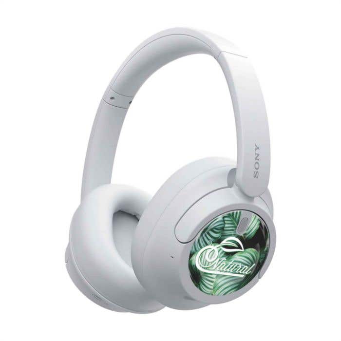 Casque Sony WH-CH720N