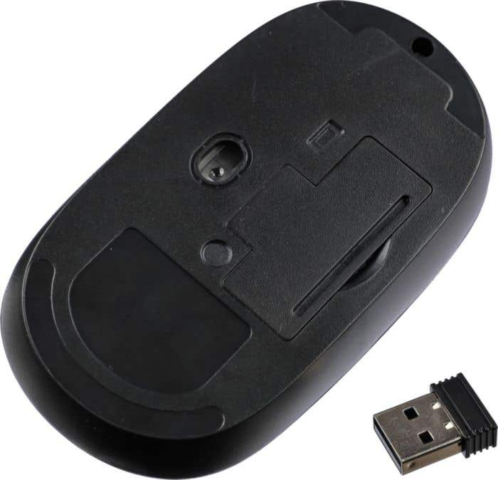 Souris Eileen