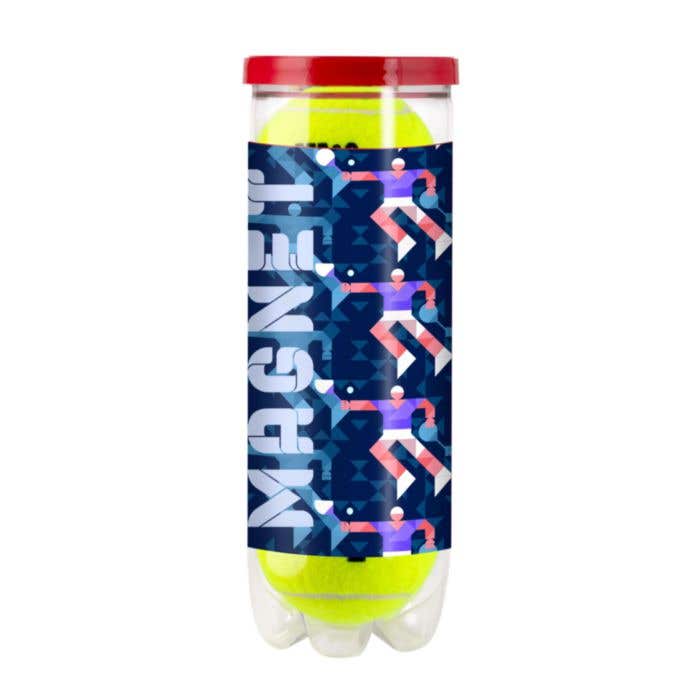 Balles de Tennis Wilson Championship