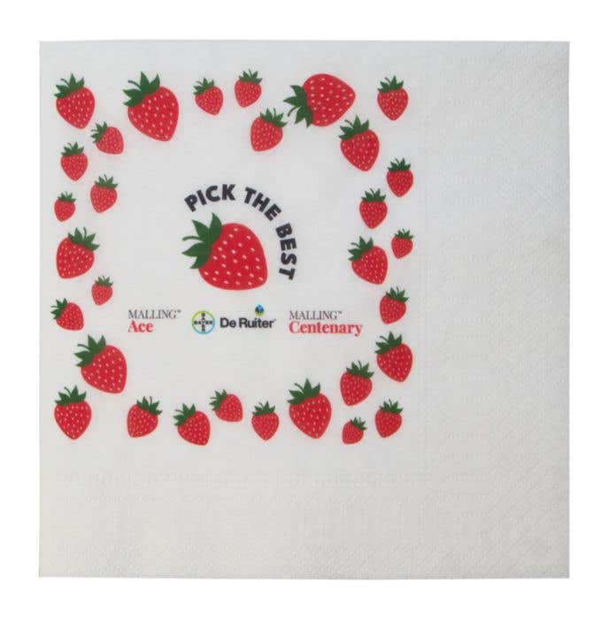 Serviettes Tissue 33 x 33 cm (16,5 x 16,5 cm) 1/4 de pli