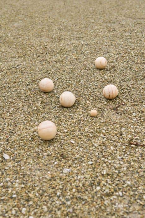 Jeu de pétanque Bois Quillian