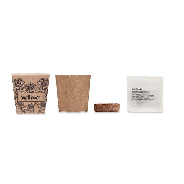 Kit de culture Sunflower Kit