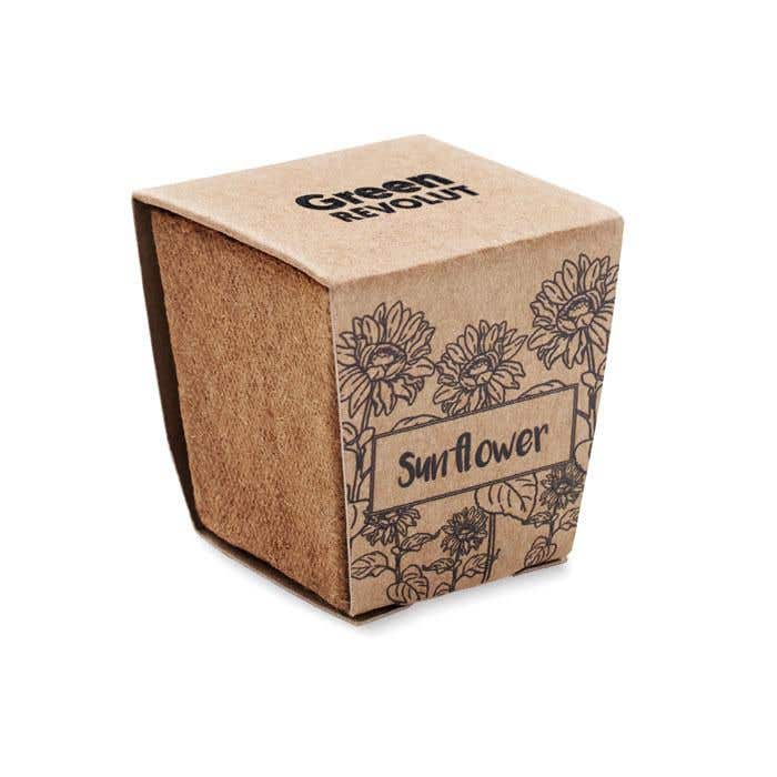 Kit de culture Sunflower Kit