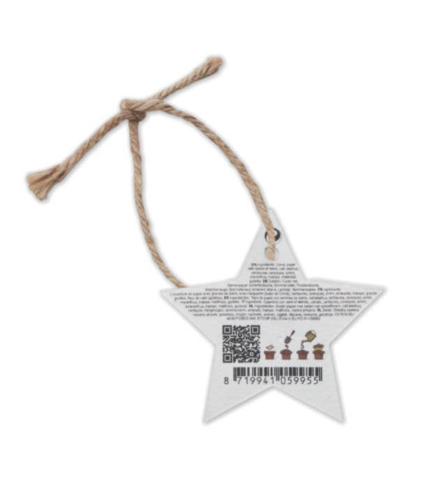 Papier semences Noël Starseed