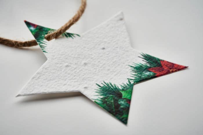 Papier semences Noël Starseed