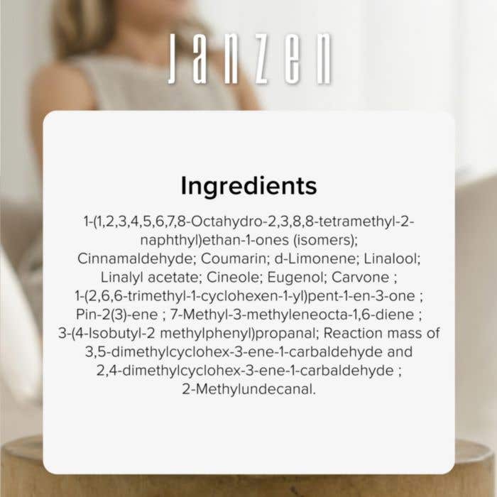 JANZEN Parfum voiture Black 22 | Set de 2 pièces