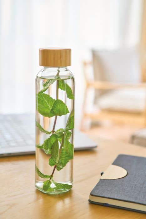 Gourde Bellis 500 ml