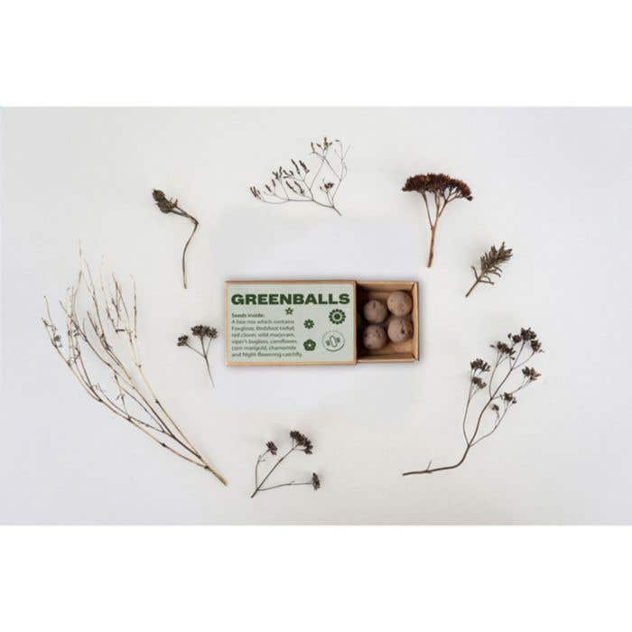 Set de graines de fleurs Green Balls Mini-Eco