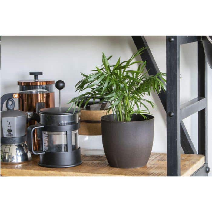 Pot de fleurs | Marc de café | Compostable