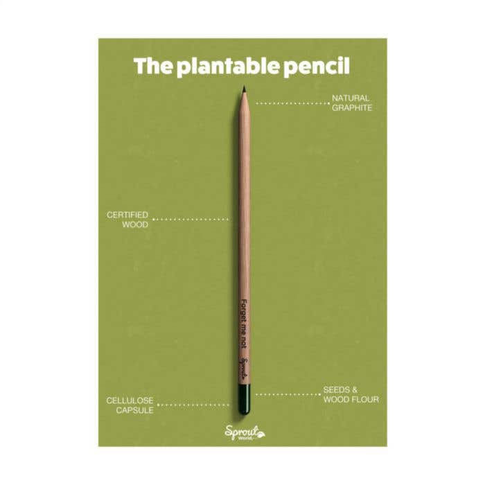 Sproutworld crayon | Plantable | Avec graines