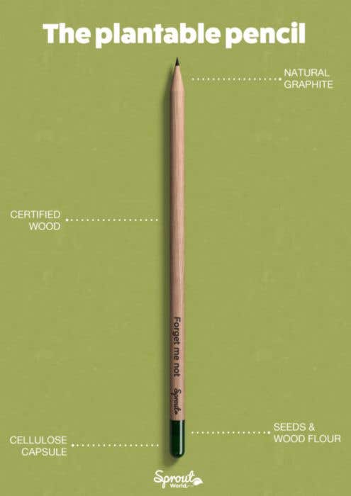 Crayon Sproutworld