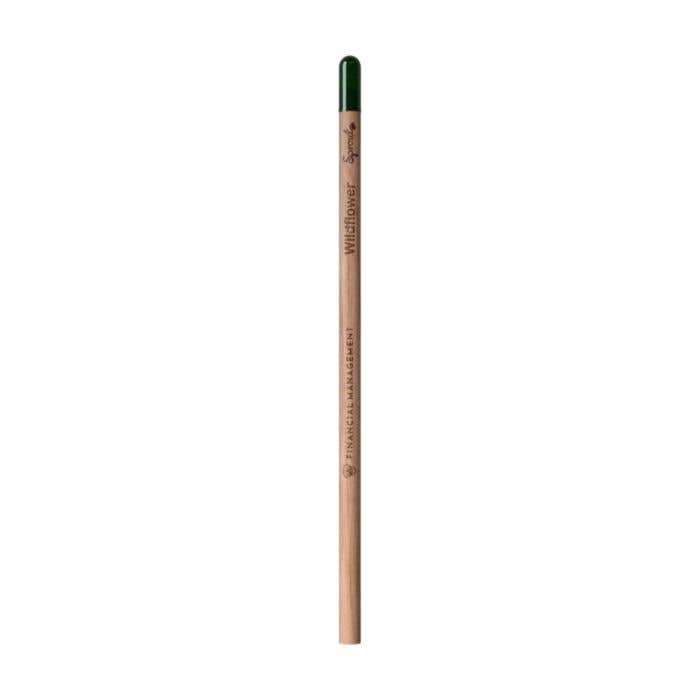 Crayon Sproutworld | Non taillé