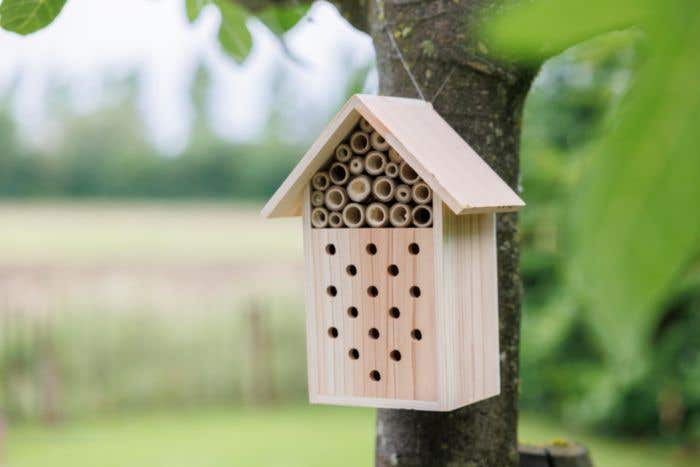 Hôtel à abeilles Fahim | Recyclé | Bois FSC® | Avec crochet de suspension