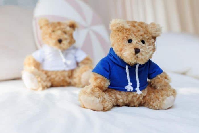 Ours en peluche Hoodie | Avec sweat à capuche