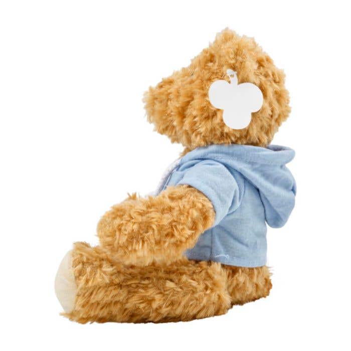 Ours en peluche Hoodie | Avec sweat à capuche