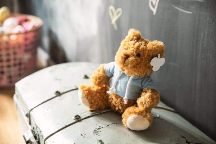 Ours en peluche Hoodie | Avec sweat à capuche
