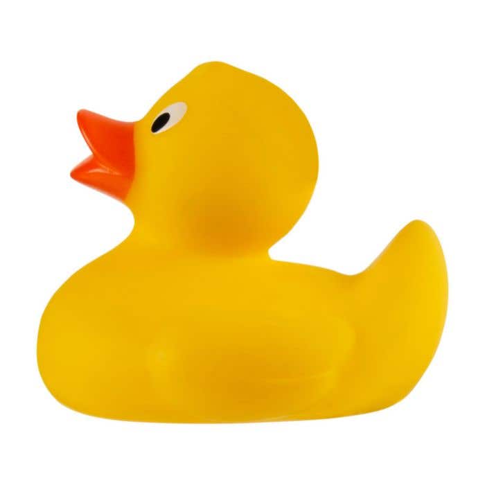 Canard Ducky