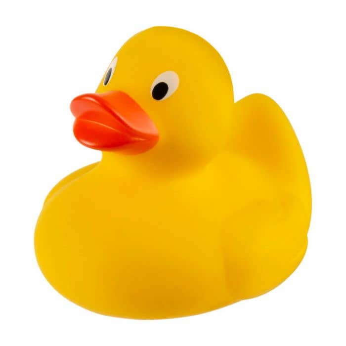 Canard Ducky