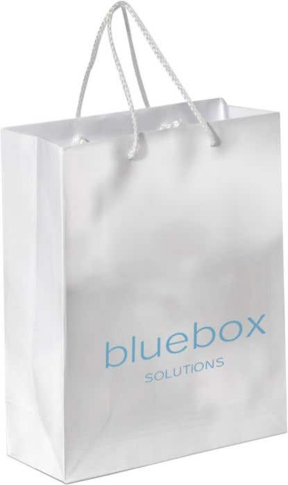 Sac boutique Paper - Medium 30x24x10