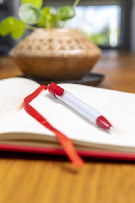 Stylo Ducal Color