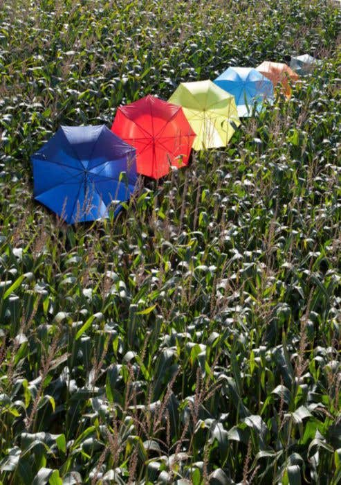 Parapluie Automatic
