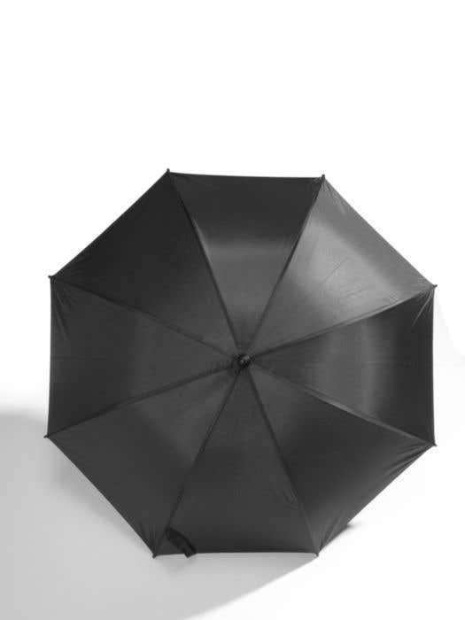 Parapluie Weatherlooks