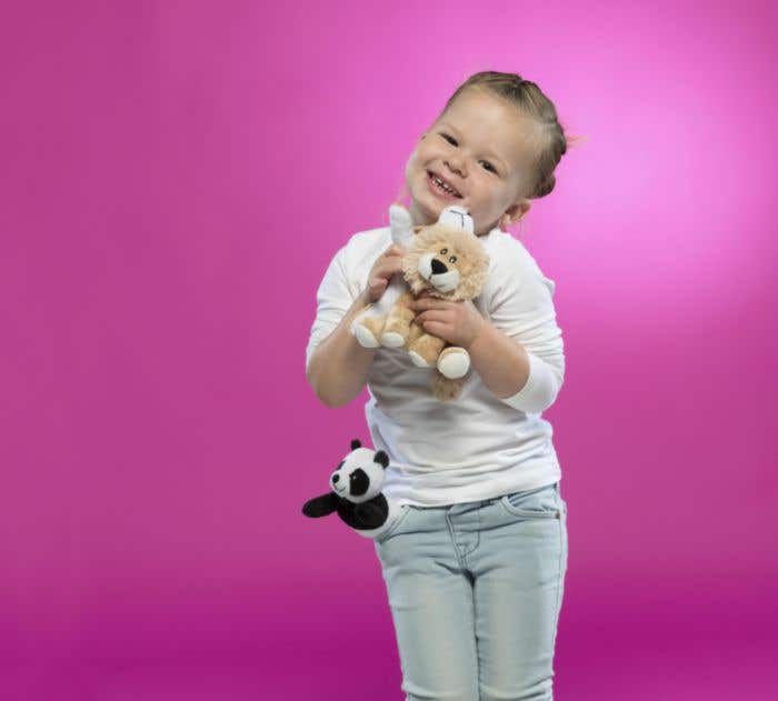 Peluche Lion