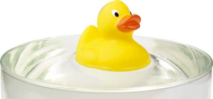 Canard Ducky