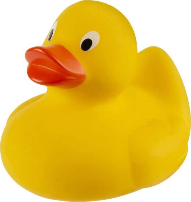 Canard Ducky
