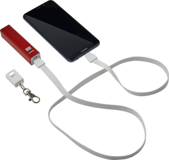 Lanyard Lany-Charge | 2-en-1 | Câble de charge | Mousqueton