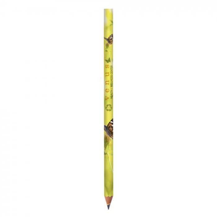 Crayon BIC Basic Evolution® Digital Ecolutions®