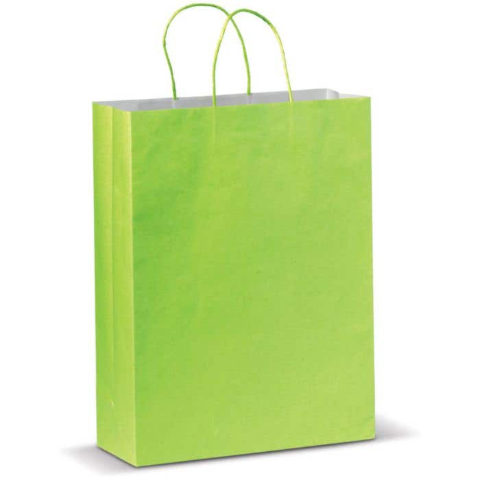 Sac papier Large