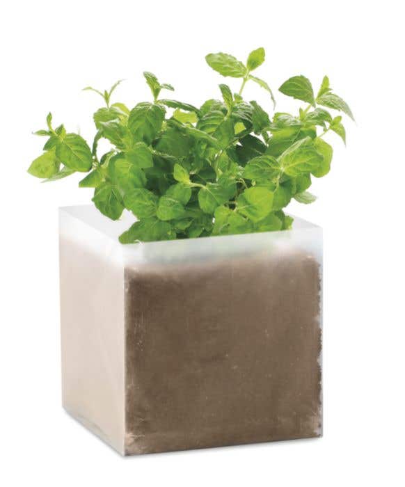 Sachet d'épices Mint