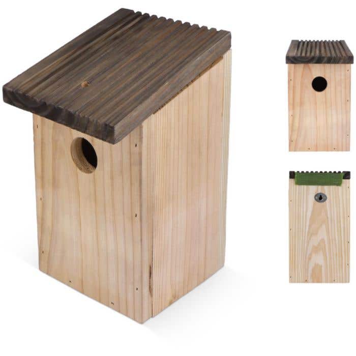 Nid d'oiseau Rustique