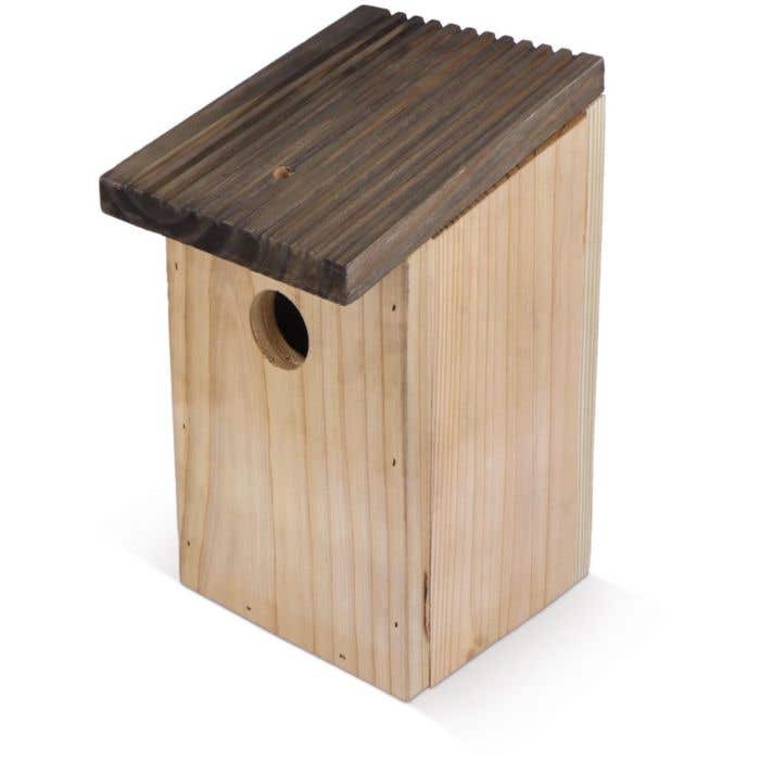 Nid d'oiseau Rustique