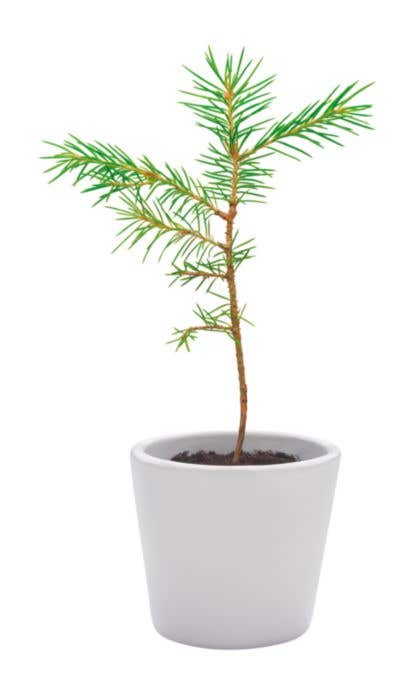 Marque-page Growbookmark