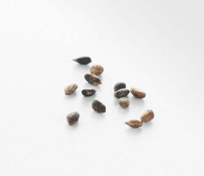 Marque-page Growbookmark