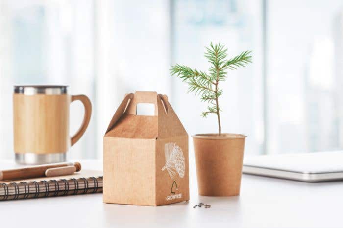 Boîte cadeau Growtree