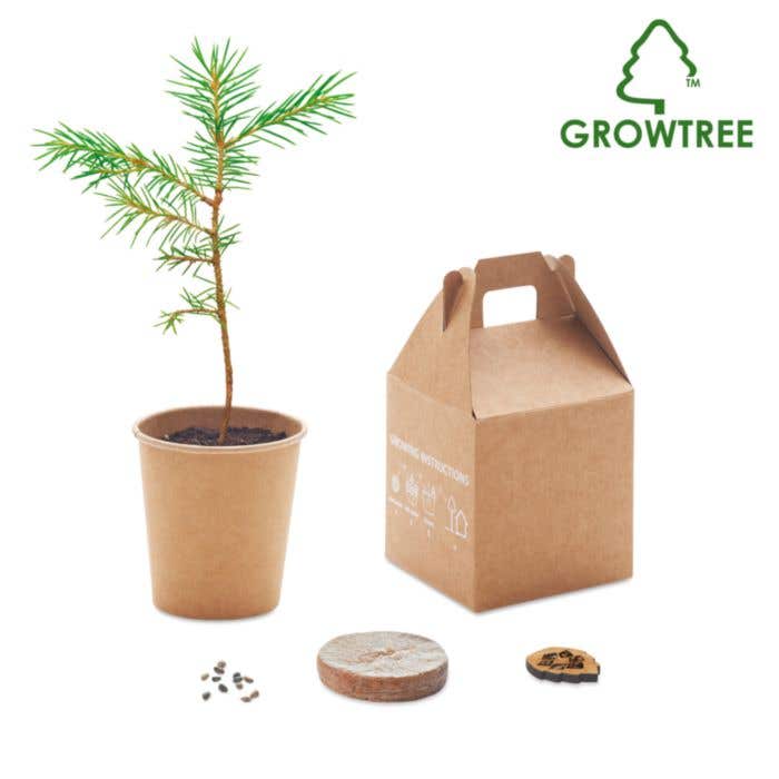 Boîte cadeau Growtree