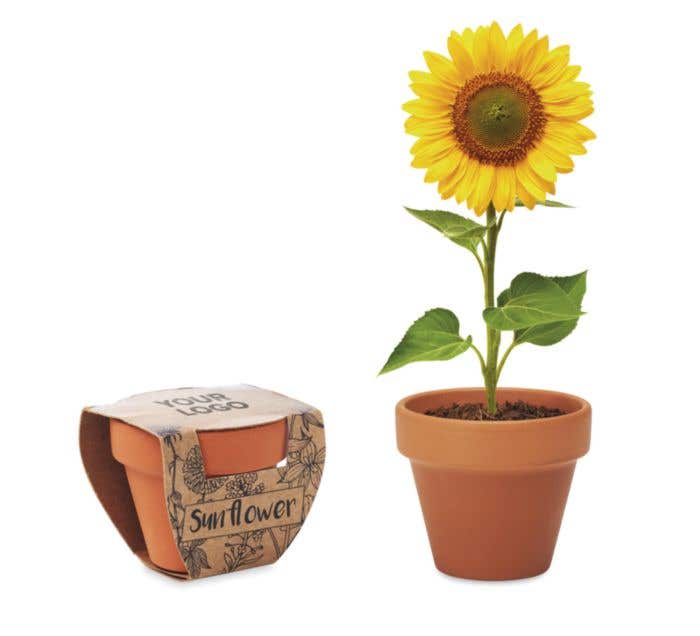 Pot de fleurs Sunflower